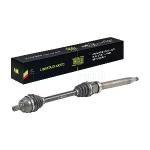 AR 1010 TRIALLI