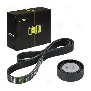 GD1202 TRIALLI