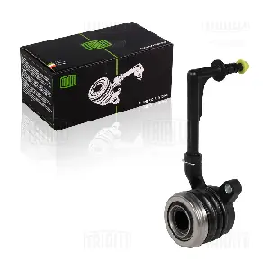 CT 0905 TRIALLI