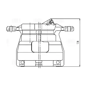 TRIALLI CF 800440