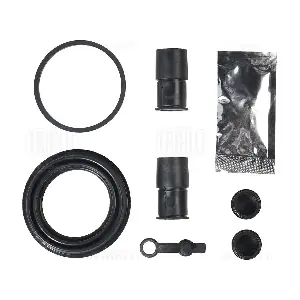 RCF 095107 TRIALLI