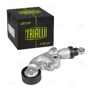 CM 5984 TRIALLI