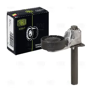 CM 5461 TRIALLI