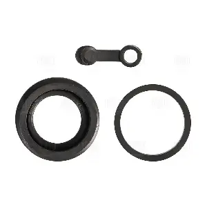 RCF 084717 TRIALLI