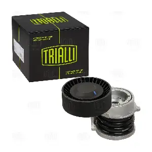 CM 5411 TRIALLI