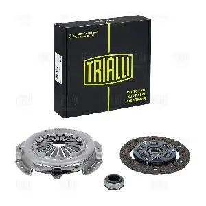 FR 2013 TRIALLI