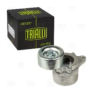 CM 5453 TRIALLI