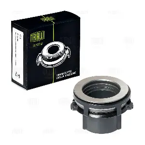 CT 106 TRIALLI