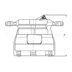 TRIALLI CF 800443