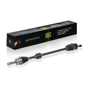 AR 0802 TRIALLI