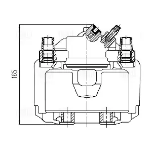 TRIALLI CF 800485