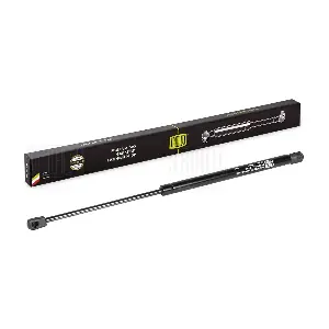 TRIALLI GS 1011