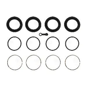 RCF 012109 TRIALLI