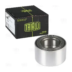 CS 1624 TRIALLI
