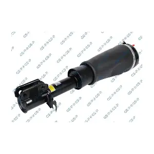 GSP-30900812 MDR