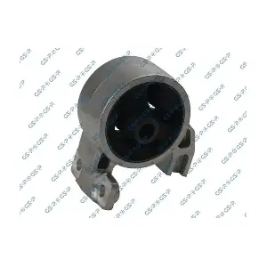 GSP-518163 MDR