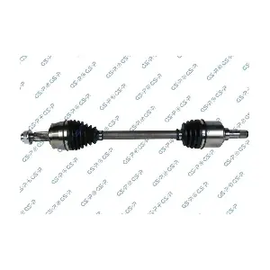 GSP-217099 MDR