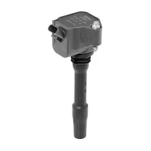 BER-ZS538 MDR