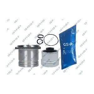 GSP-605093 MDR