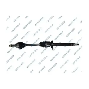 GSP-218032 MDR