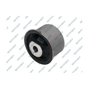 GSP-513790 MDR