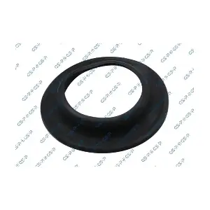 GSP-538953 MDR