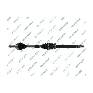 GSP-218380 MDR