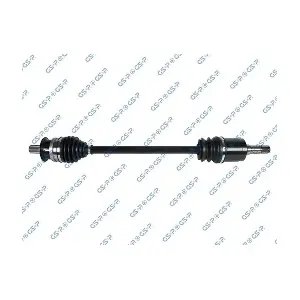 GSP-218404 MDR