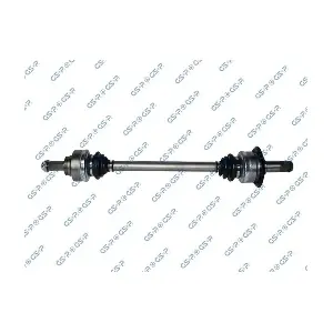 GSP-205110 MDR