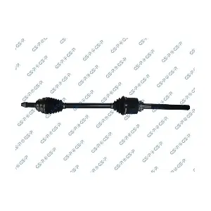 GSP-251041 MDR