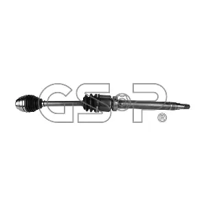 GSP-202174 MDR