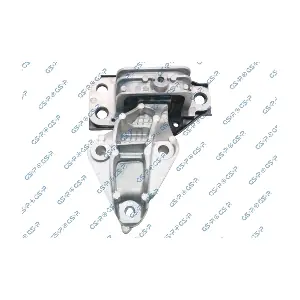 GSP-539482 MDR