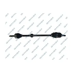 GSP-208013 MDR