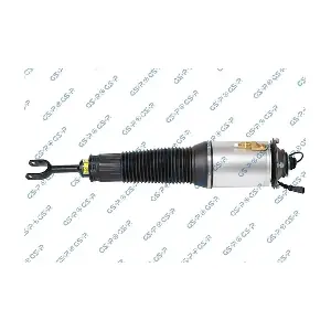 GSP-30900081 MDR