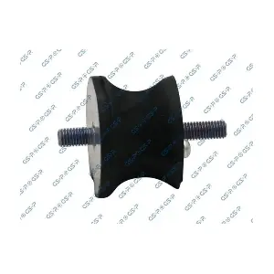 GSP-513821 MDR