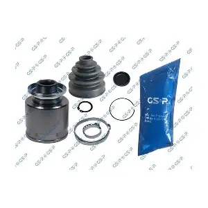 GSP-618076 MDR