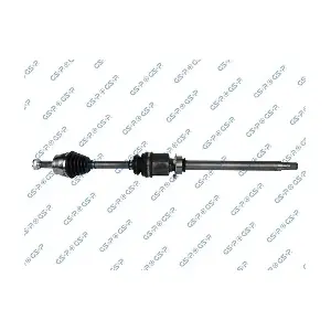 GSP-217077 MDR