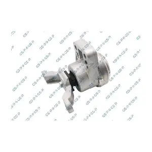GSP-538293 MDR