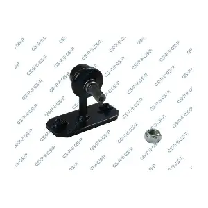 GSP-S050433 MDR