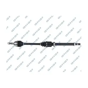 MDR GSP-204137