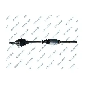 GSP-210118 MDR