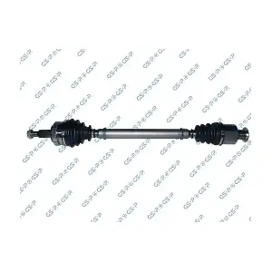 GSP-250211 MDR