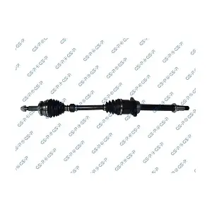 GSP-259589 MDR