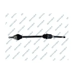 GSP-205077 MDR