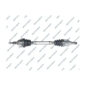 GSP-250451 MDR