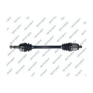 MDR GSP-299186