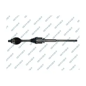 GSP-262088 MDR