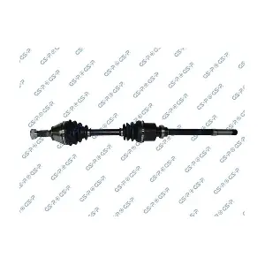 GSP-245029 MDR