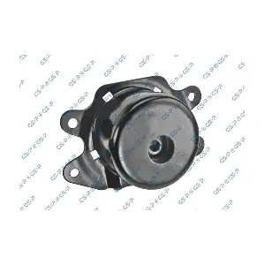 GSP-539417 MDR