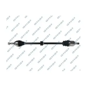 GSP-208077 MDR